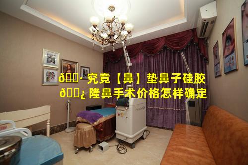 🕷 究竟【鼻】垫鼻子硅胶 🌿 隆鼻手术价格怎样确定